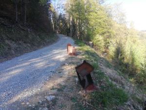 ocistimo jezersko7